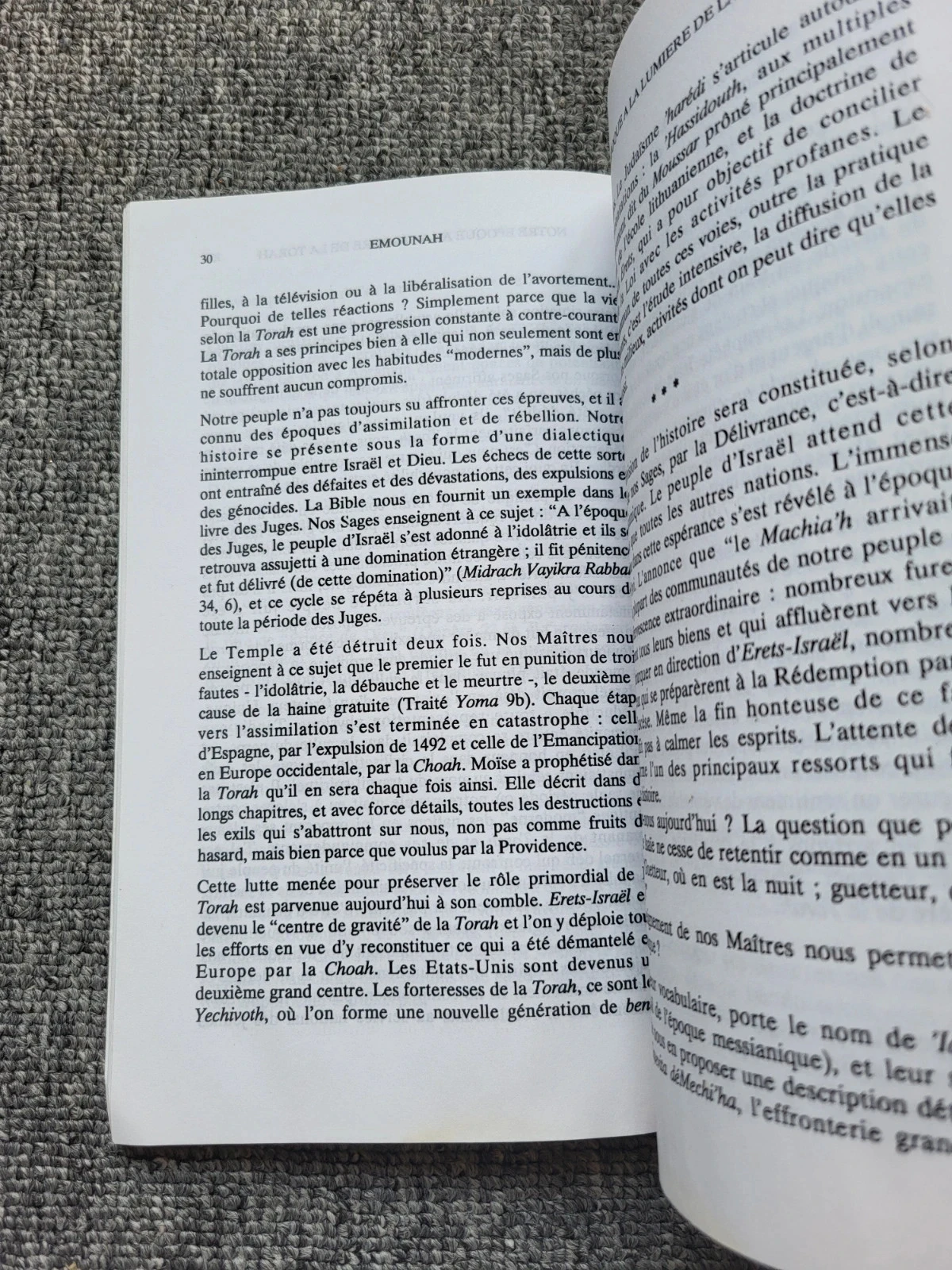 Livre Emounah n°19 Pensée Juive Rav El'hanan Wasserman Judaïsme Torah – photo 5